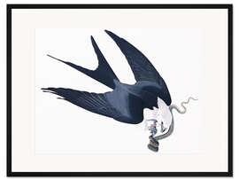 Gerahmter Kunstdruck Schwalbenweih