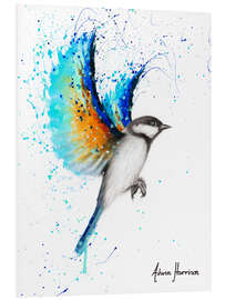 Foam board print Travelling Blue Bird