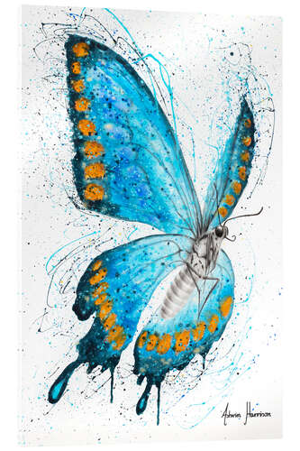 Acrylic print The morning butterfly