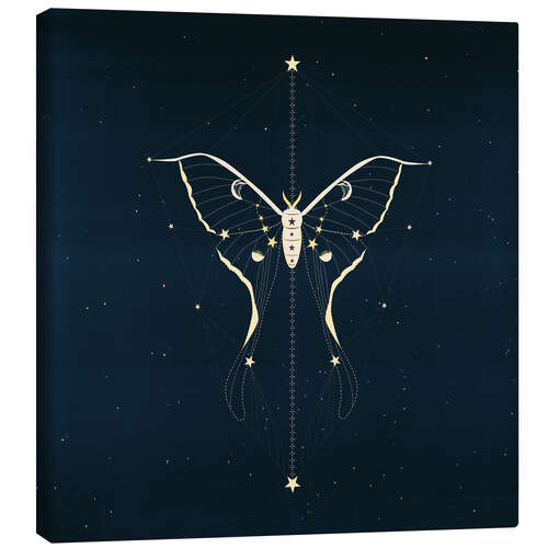 Canvas print Night Moth