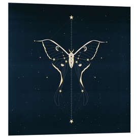 Foam board print Night Moth