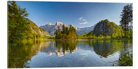 Gallery print Summer Almsee