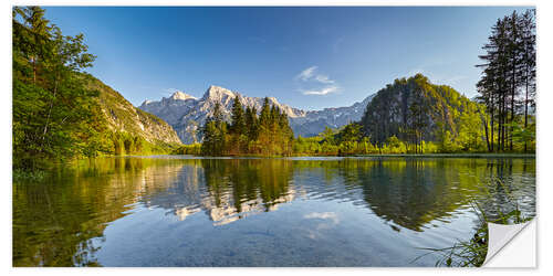 Muursticker Summer Almsee