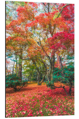 Aluminium print Magical autumn