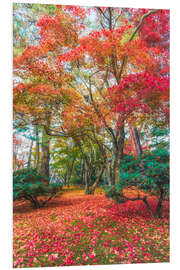 Foam board print Magical autumn