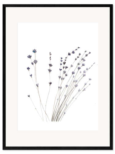 Kunsttryk i ramme Lavender