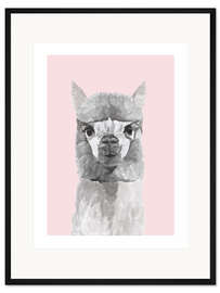 Gerahmter Kunstdruck Lama