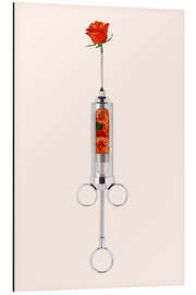 Magnettafel Blumentherapie