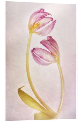 Acrylic print Spring Love