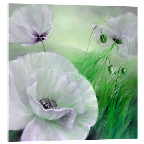 Acrylic print White poppy flowers on green