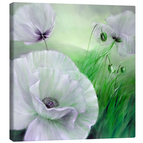 Canvas print White poppy flowers on green