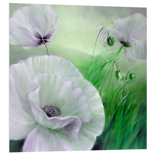 PVC-tavla White poppy flowers on green