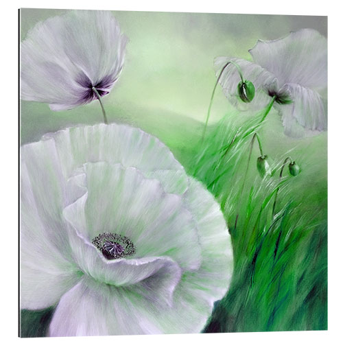 Gallery print White poppy flowers on green