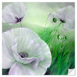 Sticker mural Fleurs de coquelicots blancs