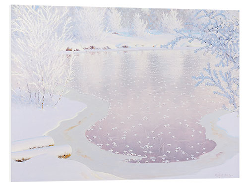 PVC-taulu Sparkling winter landscape with frozen water