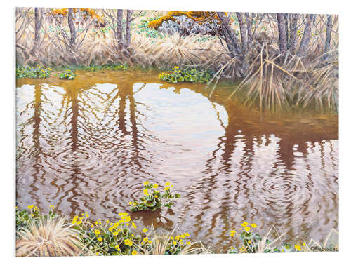 Foam board print Spring river