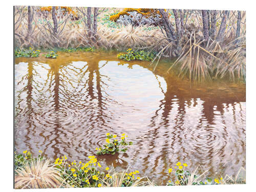 Tableau en plexi-alu Rivière de printemps