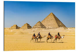 Aluminium print Camel riders in front of the pyramids of Giza