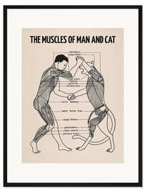 Gerahmter Kunstdruck Die Muskeln von Mensch und Katze (englisch)