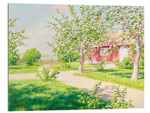 Gallery print Blossoming apple tree with red hut