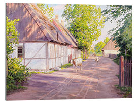 Aluminium print Cows on the village street