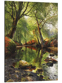 Aluminium print A woodland stream