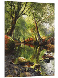 Foam board print A woodland stream