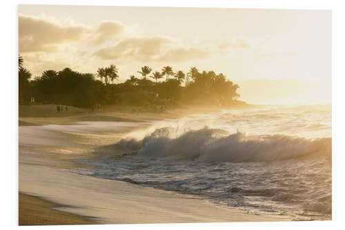 Foam board print Golden light on the beach in Hawaii