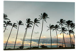 Acrylglasbild Palmen auf Kauai, Hawaii - Road To Aloha