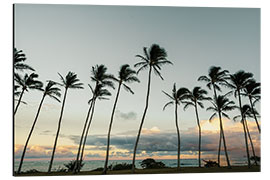 Aluminium print Palm trees on Kauai, Hawaii - Road To Aloha