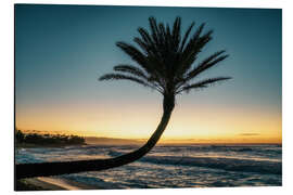 Alubild Palme am Strand, Hawaii