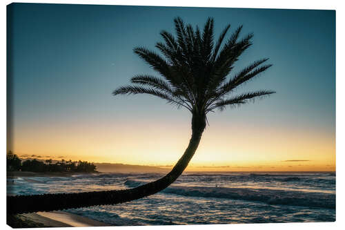 Lienzo Palmera en la playa, Hawaii