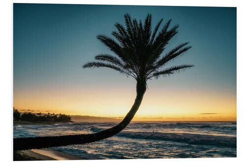 Tableau en PVC Palmier sur la plage, Hawaï