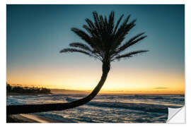 Naklejka na ścianę Palm tree on the beach, Hawaii