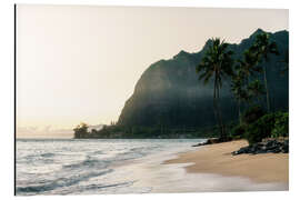 Aluminium print Tropical beach in Hawaii