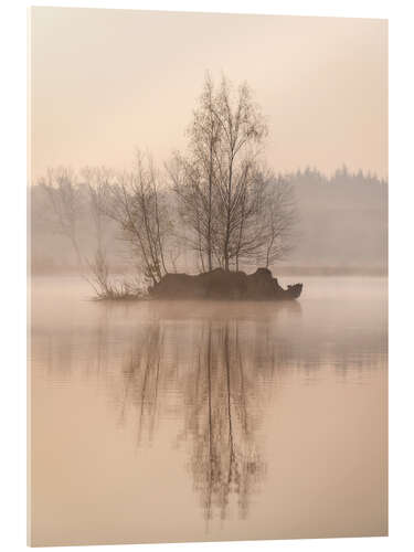 Akryylilasitaulu Island with trees on a lake in the Mastbos near Breda