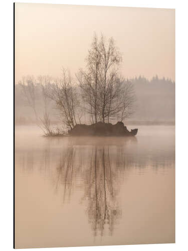 Aluminium print Island with trees on a lake in the Mastbos near Breda