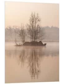 Foam board print Island with trees on a lake in the Mastbos near Breda