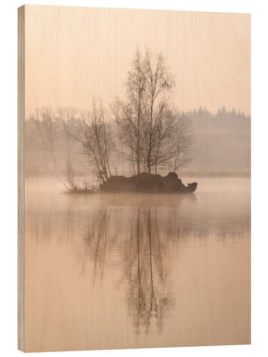 Puutaulu Island with trees on a lake in the Mastbos near Breda