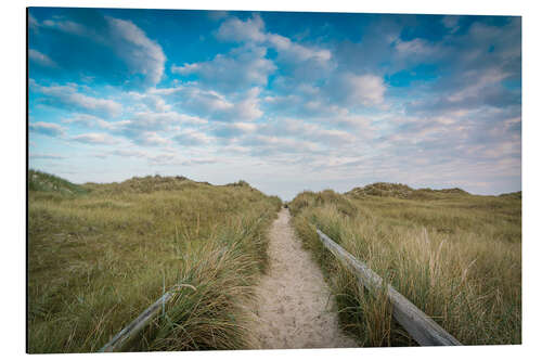 Aluminium print Path to the North Sea beach