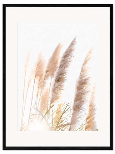 Framed art print Reed