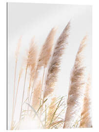 Gallery print Reed