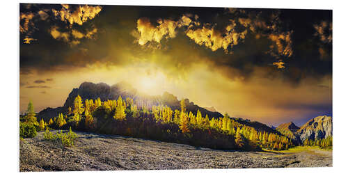 PVC print Luminous mountain forest at the Lamsenspitze