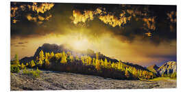 Foam board print Luminous mountain forest at the Lamsenspitze