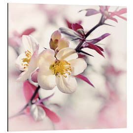 Magnettafel Japanische Zierquitte, weiß