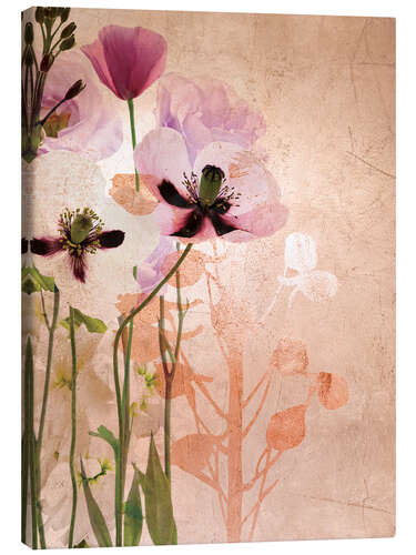 Canvas print Delicate Herbarium II