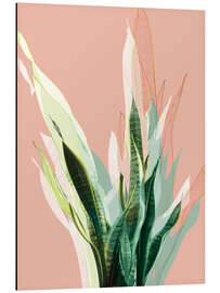 Magnettafel Zeylanica auf Rosé