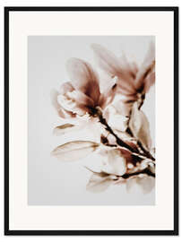 Gerahmter Kunstdruck Blühende Magnolien