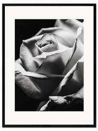 Ingelijste kunstdruk Black rose