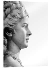 Acrylic print Marble bust